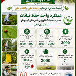 اینفوگرافیک