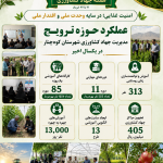 اینفوگراف