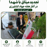 اینفوگرافی