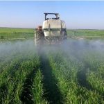 عملیات مبارزه با علف های هرز در مزارع شتوی با موفقیت اجرا شد