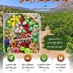 اینفوگرافیک