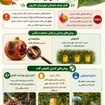 اینفوگراف کنترل و ردیابی مگس میوه شرقی