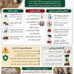 بیماری لمپی اسکین