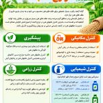 اینفوگراف کنترل علفهای هرز کنجد