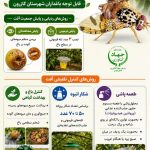 اینفو گراف ردیابی و کنترل مگس میوه مدیترانه ای