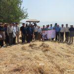 برگزاری دوره آموزشی آشنایی با اصول کشاورزی حفاظتی ذرت در کازرون