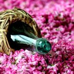 ارزآوری ۲.۴ میلیون دلاری گلاب و عرقیات گیاهی میمند فیروزآباد
