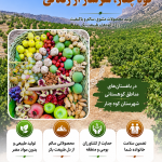 اینفوگرافیک
