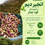 اینفوگرافیک