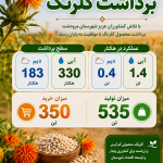 گزارش پایانی گلرنگ