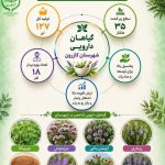 اینفوگراف گیاهان دارویی