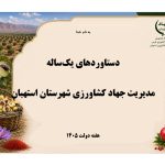 یک سال تلاش، یک کارنامه