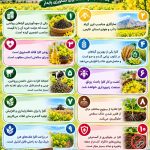 چرا کلزا بکاریم