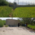 شناسایی دو مورد تغییر کاربری غیرمجاز در اراضی کشاورزی شهرستان رستم