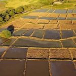 جهش ۱۱ برابری ثبت اراضی در استان فارس