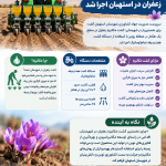 نخستین کشت مکانیزه زعفران در استهبان