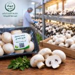 صدور نخستین شناسه محصول قارچ در شهرستان فسا
