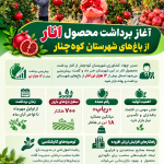 اینفوگرافیک