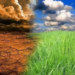 ال‌نینو و ضرورت توسعه پوشش بیمه‌ای محصولات کشاورزی در استهبان