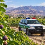 امنیت باغ‌های انجیر، پشتیبان تولید و دسترنج باغداران است