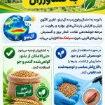 اینفوگراف هشدار به کشاورزان در خصوص پدیده ال نینو و گسترش سیاهک ها
