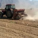 آغاز کشت کلزا در یک‌هزار و ۱۰۰ هکتار از مزارع فیروزآباد