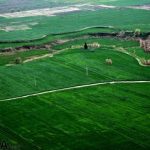 وصول چشمگیر ۶۸۱ میلیارد ریال عوارض اراضی کشاورزی فارس در نیمه نخست