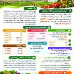 قطب امنیت غذایی فارس در انتظار تحول صنعتی/ فرصت‌های بی‌نظیر سرمایه‌گذاری در زنجیره ارزش کشاورزی بیضاء