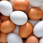 فارس تولید کننده ۶۵ هزار تن تخم مرغ