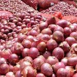 صادرات پیاز فارس به هفته‌ای ۱۵۰ تن محدود شد