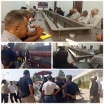 برگزاری کارگاه آموزشی «اصول کشت محصولات پاییزه» در مدیریت جهاد کشاورزی شهرستان بیضا